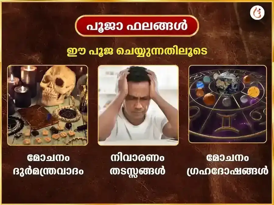 ചൊവ്വാഴ്ച വിശേഷ പഞ്ചമുഖി ഹനുമാൻ പ്രതിവാര സിന്ദൂരവും നാളികേരവും ദാനം puja gallery 1