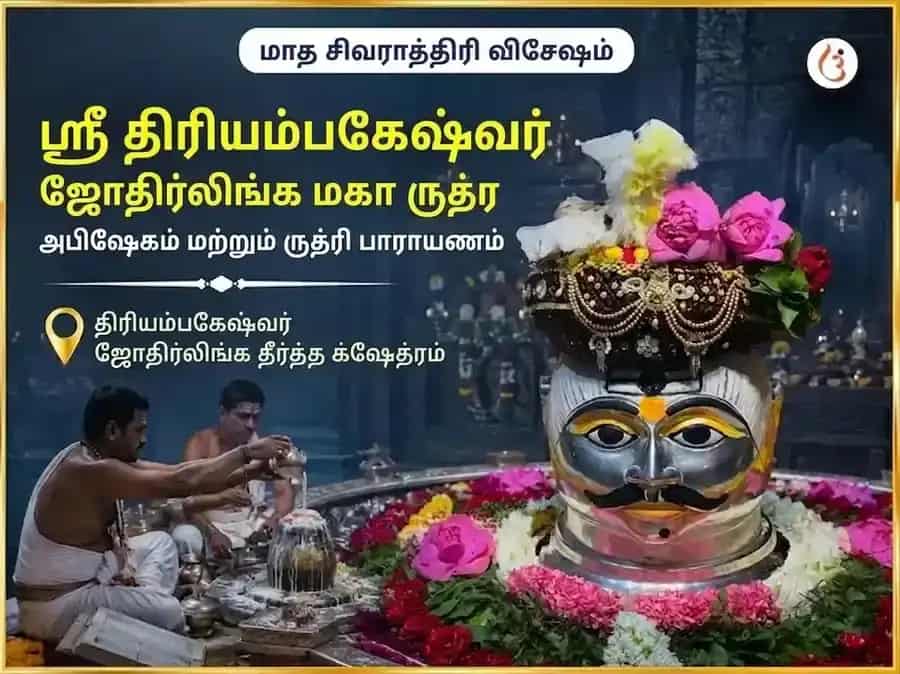 மாதாந்திர சிவராத்திரி விசேஷ ஸ்ரீ த்ரயம்பகேஷ்வர் ஜ்யோதிர்லிங்க மஹா ருத்ர அபிஷேகம் மற்றும் ருத்ரி பாராயண அனுஷ்டானம் puja image 1
