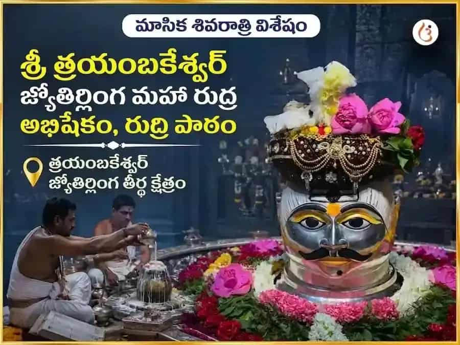 మాసిక శివరాత్రి విశేష శ్రీ త్రయంబకేశ్వర్ జ్యోతిర్లింగ మహా రుద్ర అభిషేకం మరియు రుద్రి పాఠ్ అనుష్ఠానం puja image 1