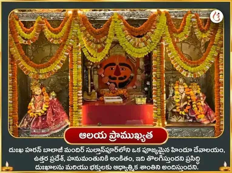 దుఖ్ హరన్ బాలాజీ ఋణ మోచక స్తోత్ర పారాయణం & లాల్ సిందూర్ అర్పణ puja gallery 4