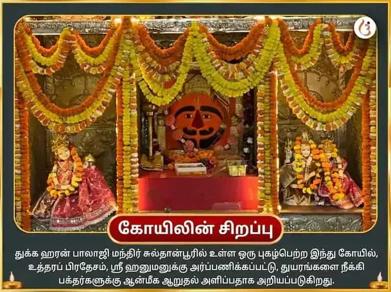 செவ்வாய் சிறப்பு ஹனுமான் சாலிசா, சுந்தரகாண்ட பாராயணம் மற்றும் தீப தானம் puja gallery 4