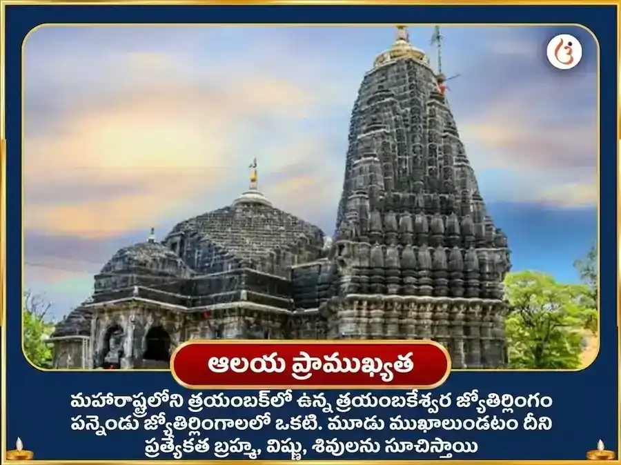 మాసిక శివరాత్రి విశేష శ్రీ త్రయంబకేశ్వర్ జ్యోతిర్లింగ మహా రుద్ర అభిషేకం మరియు రుద్రి పాఠ్ అనుష్ఠానం puja gallery 4
