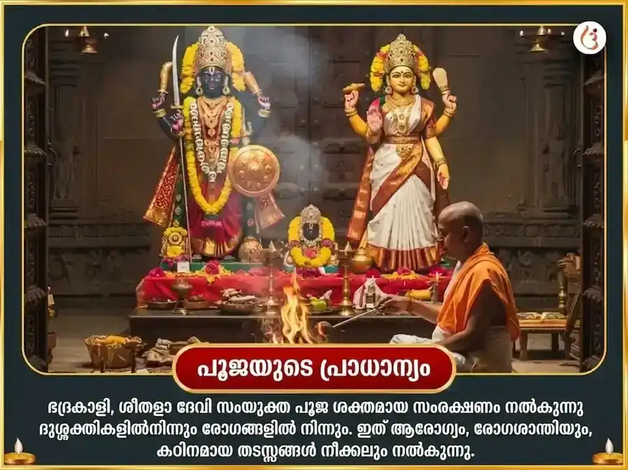 ശ്രാവണ ദുർഗ്ഗാ അഷ്ടമി വിശേഷ് ഓലായ് ചണ്ഡി & ശീതളാ മാതാ സമ്പൂർണ്ണ രോഗ ബാധാ വിനാശക കാളരാത്രി മഹാതന്ത്ര ഹവന അനുഷ്ഠാനം puja gallery 5