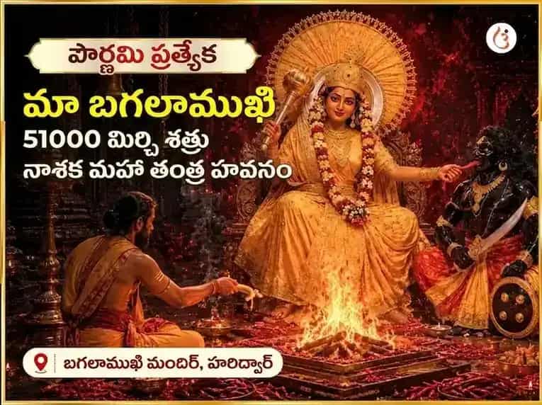 పూర్ణిమ విశేష్ మా బగళాముఖి 51000 మూల మంత్ర జపం మరియు లాల్ మిర్చి తాంత్రోయుక్త్ హవనం puja image 1