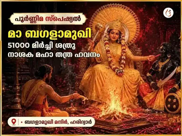 പൗർണ്ണമി വിശേഷ് മാ ബഗളാമുഖി 51000 മൂലമന്ത്ര ജപവും ലാൽ മിർച്ചി തന്ത്രോയുക്ത് ഹവനും puja image 1