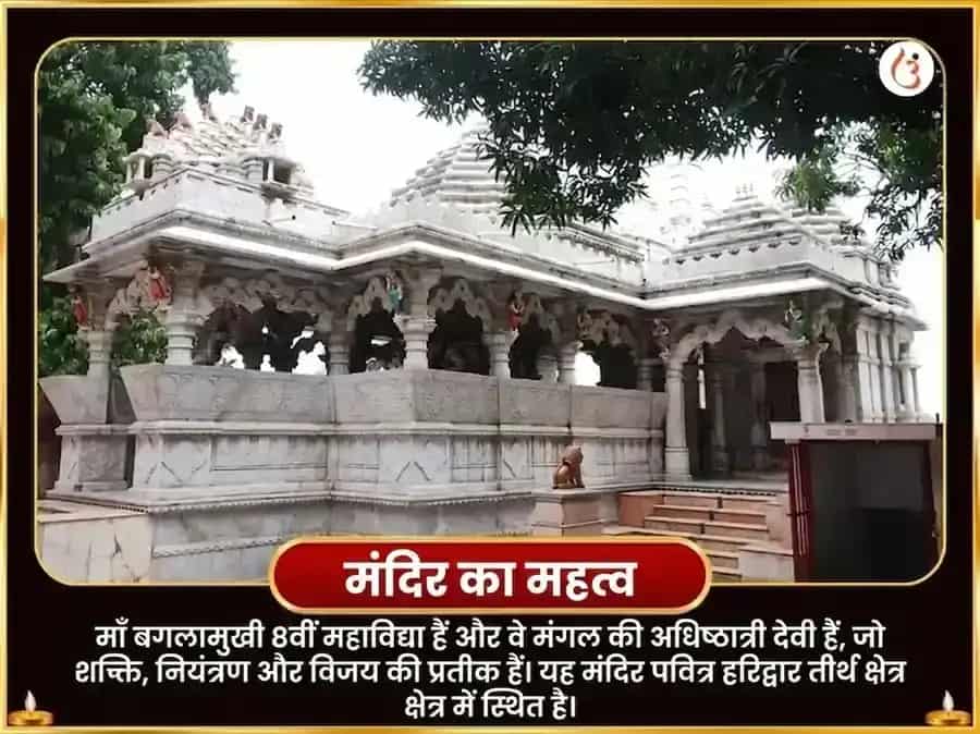 पूर्णिमा विशेष माँ बगलामुखी 51000 मूल मंत्र जाप और लाल मिर्च तंत्रोयुक्त हवन puja gallery 4