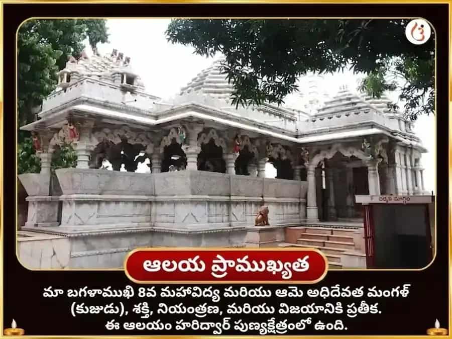 పూర్ణిమ విశేష్ మా బగళాముఖి 51000 మూల మంత్ర జపం మరియు లాల్ మిర్చి తాంత్రోయుక్త్ హవనం puja gallery 4