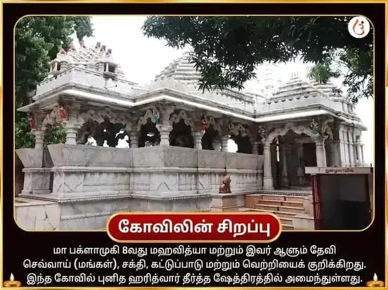 பௌர்ணமி விசேஷ மா பகளாமுகி 51000 மூல மந்திர ஜபம் மற்றும் லால் மிர்ச்சி தந்த்ரோயுக்த ஹவன் puja gallery 4