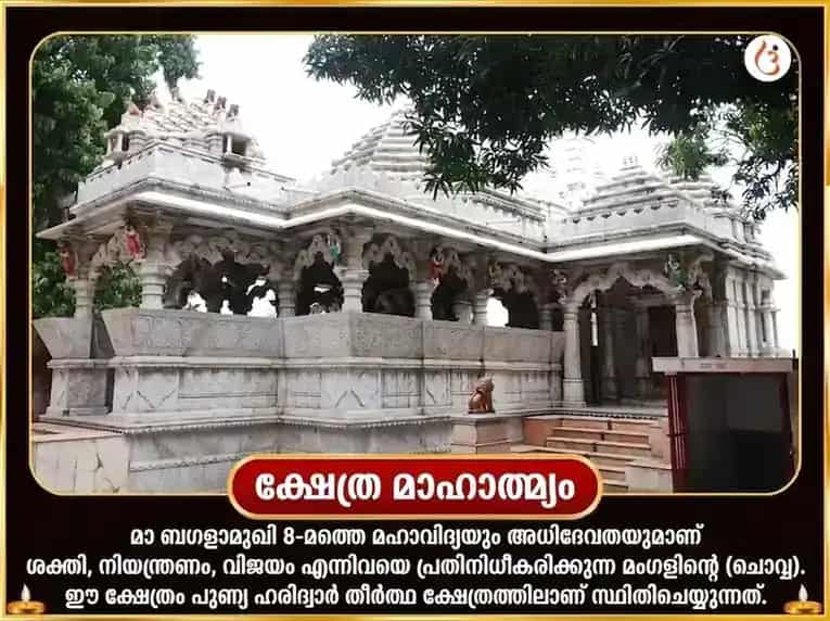 പൗർണ്ണമി വിശേഷ് മാ ബഗളാമുഖി 51000 മൂലമന്ത്ര ജപവും ലാൽ മിർച്ചി തന്ത്രോയുക്ത് ഹവനും puja gallery 4
