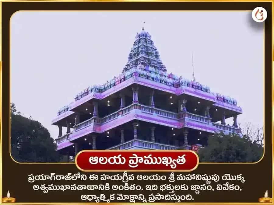 హయగ్రీవ జయంతి విశేష్ హయగ్రీవ హోమం మరియు 21000 మహామంత్ర జప సహిత మధు-మద్ది అభిషేకం puja gallery 4