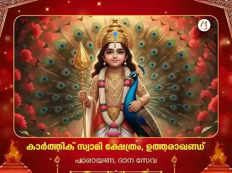 കാർത്തിക് സ്വാമി മന്ദിർ വിശേഷ് പാഠവും ദാന സേവയും puja image 1