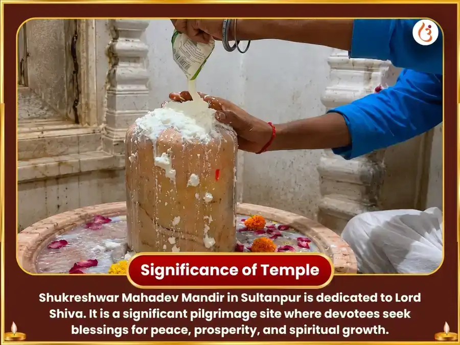 Shukravar Visesh 24,000 Shukra Gayatri Mantra Jaap & 108 Mahamrityunjay Mantra Jaap puja gallery 4