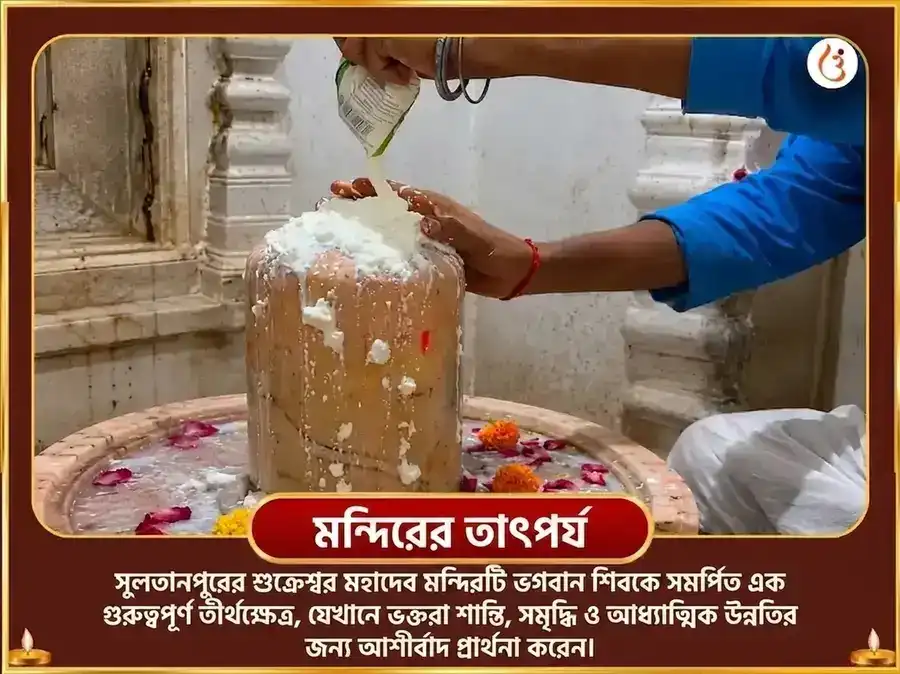 শুক্রবার বিশেষ 24,000 শুক্র গায়ত্রী মন্ত্র জপ এবং 108 মহামৃত্যুঞ্জয় মন্ত্র জপ puja gallery 4