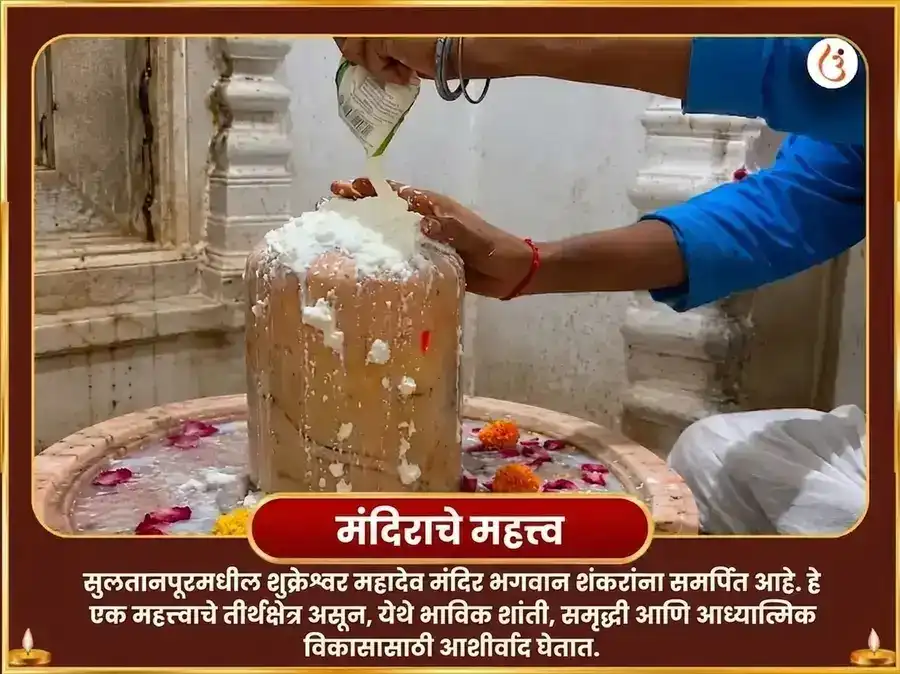 शुक्रवार विशेष 24,000 शुक्र गायत्री मंत्र जाप आणि 108 महामृत्युंजय मंत्र जाप puja gallery 4