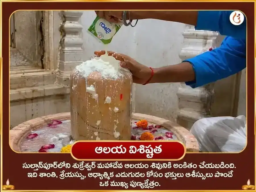 శుక్రవార విశేష్ 24,000 శుక్ర గాయత్రీ మంత్ర జపం మరియు 108 మహామృత్యుంజయ మంత్ర జపం puja gallery 4