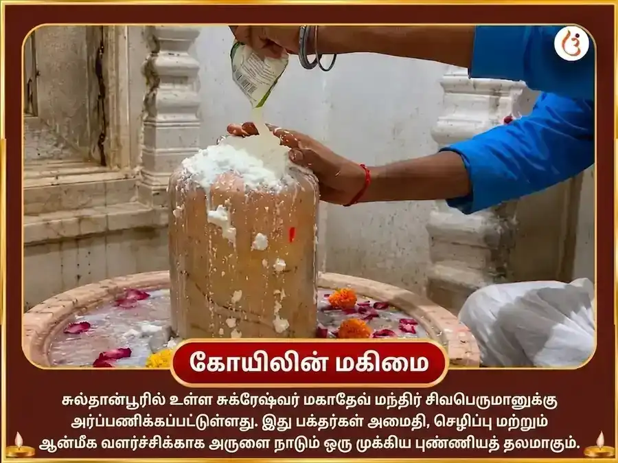 சுக்ரவார் விசேஷம் 24,000 சுக்கிர காயத்ரி மந்திர ஜபம் மற்றும் 108 மகாமிருத்யுஞ்சய மந்திர ஜபம் puja gallery 4
