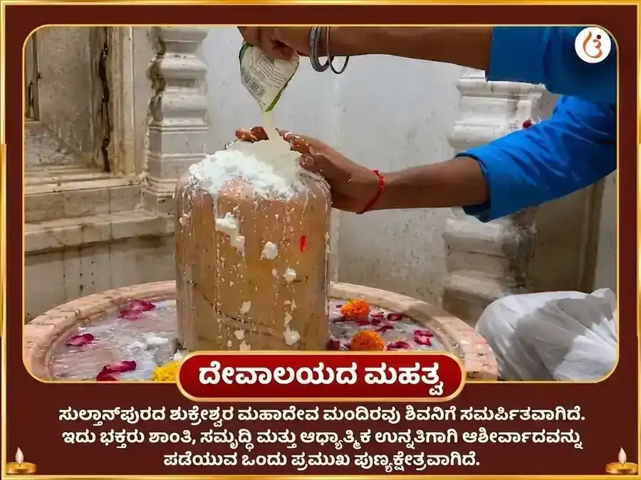 ಶುಕ್ರವಾರ ವಿಶೇಷ 24,000 ಶುಕ್ರ ಗಾಯತ್ರಿ ಮಂತ್ರ ಜಪ ಮತ್ತು 108 ಮಹಾಮೃತ್ಯುಂಜಯ ಮಂತ್ರ ಜಪ puja gallery 4