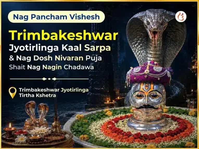 Nag Pancham Vishesh Trimbakeshwar Jyotirlinga Kal Sarpa & Nag Dosh Nivaran Puja Sahit Nag Nagin Chadawa puja image 1