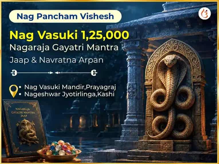 Nag Pancham Vishesh Nag Vasuki 1,25,000 Nagaraja Gayatri Mantra Jaap & Navratna Arpan puja image 1