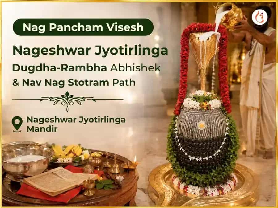 Nag Pancham Vishesh Nageshwar Jyotirlinga Dugdha-Rambha Abhishek & Nav Nag Stotram Path puja image 1