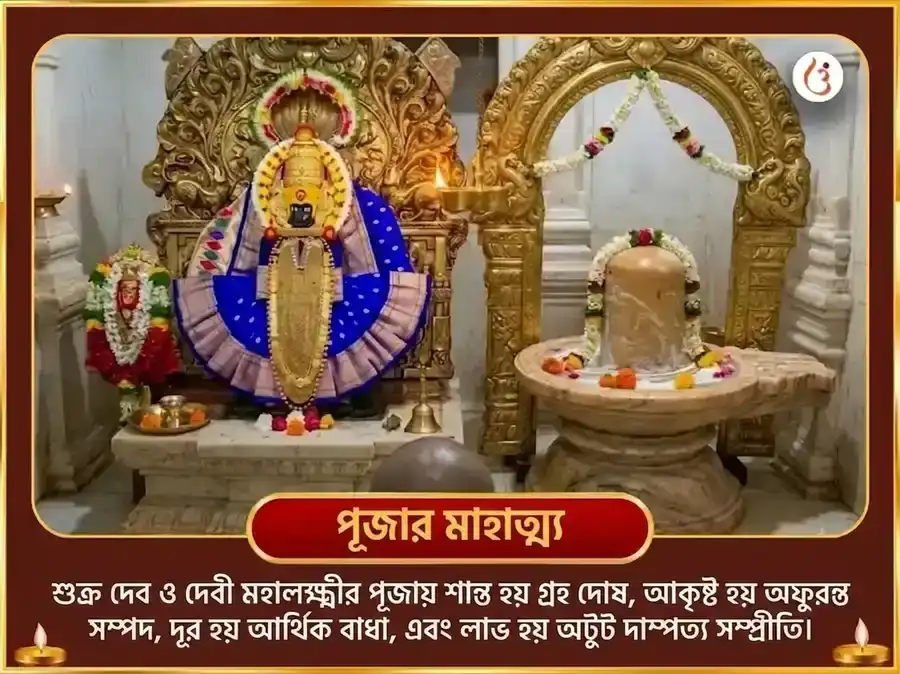 মালব্য রাজযোগ বিশেষ 6000 শুক্র মূল মন্ত্র জপ সহিত টক দই অর্পণ ও নৈবেদ্য সেবা puja gallery 5