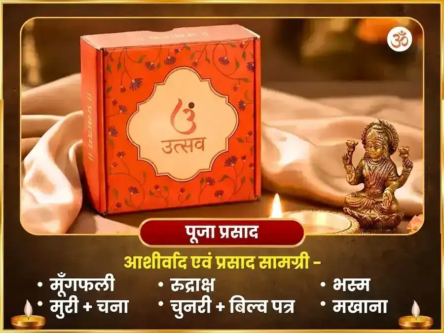 दुर्लभ 3:3 पोर्टल विशेष 1,20,000 गुरु मूल मंत्र जाप सहित हल्दी-चंदन अभिषेक और स्वर्ण गज मूर्ति चढ़ावा puja gallery 3