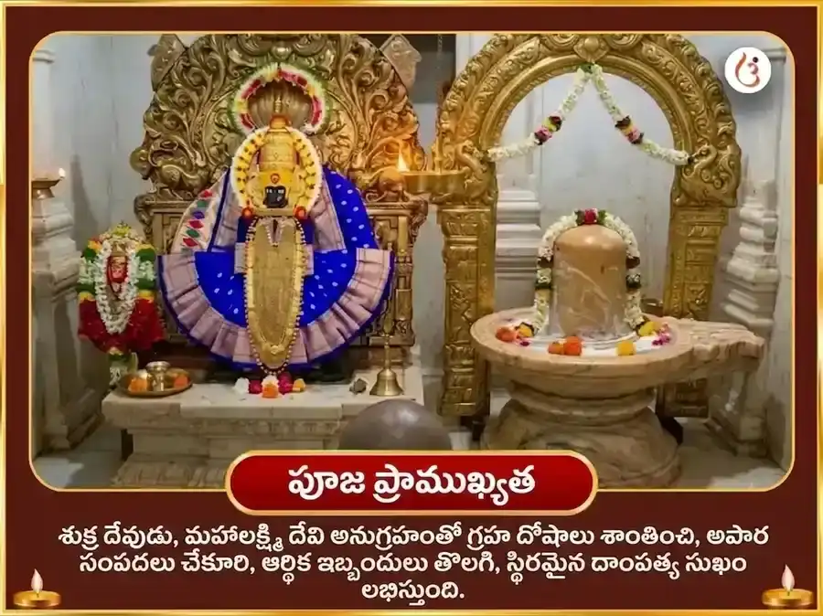 మాళవ్య రాజయోగ విశేష్ 6000 శుక్ర మూల మంత్ర జప సహిత ఖట్టా దహీ అర్పణ & నైవేద్య సేవ puja gallery 5