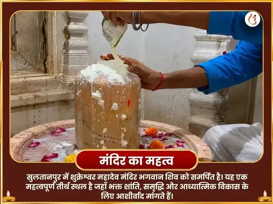 मालव्य राजयोग विशेष 6000 शुक्र मूल मंत्र जाप सहित खट्टा दही अर्पण puja gallery 4