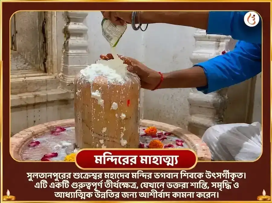 মালব্য রাজযোগ বিশেষ 6000 শুক্র মূল মন্ত্র জপ সহিত টক দই অর্পণ puja gallery 4
