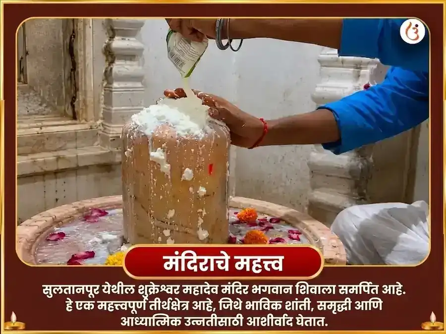 मालव्य राजयोग विशेष 6000 शुक्र मूळ मंत्र जाप सहित खट्टा दही अर्पण puja gallery 4