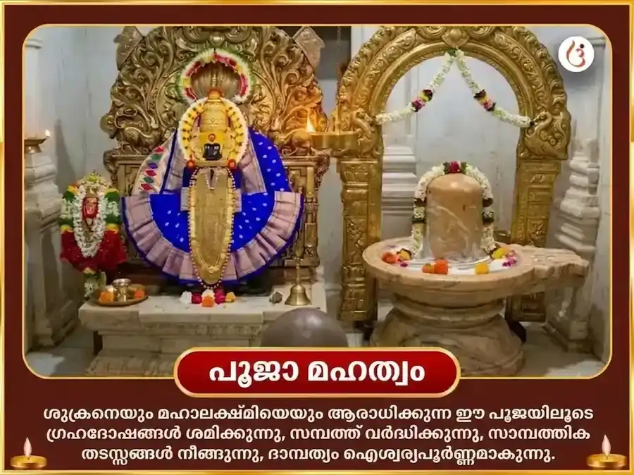 മാളവ്യ രാജയോഗ വിശേഷ് 6000 ശുക്ര മൂലമന്ത്ര ജപ സഹിതം ഖട്ടാ ദഹി അർപ്പൺ & നൈവേദ്യ സേവ puja gallery 4