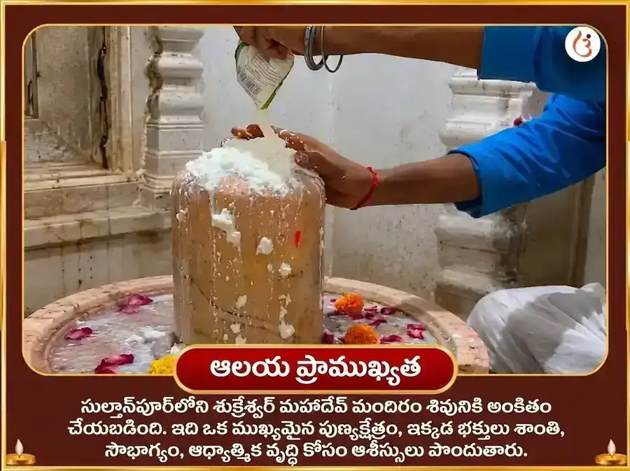 మాళవ్య రాజయోగ విశేష్ 6000 శుక్ర మూల మంత్ర జాప సహిత ఖట్టా దహీ అర్పణ puja gallery 4