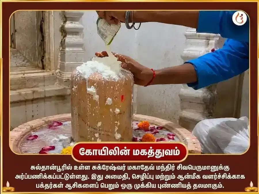 மாளவ்ய ராஜயோக விசேஷ 6000 சுக்கிர மூல மந்திர ஜப சஹித கட்டா தஹி அர்ப்பணம் puja gallery 4