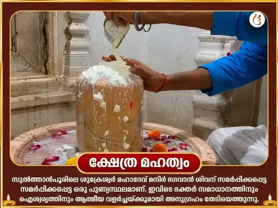 മാളവ്യ രാജയോഗ വിശേഷ 6000 ശുക്ര മൂല മന്ത്ര ജപ സഹിതം ഖട്ടാ ദഹി അർപ്പണം puja gallery 4