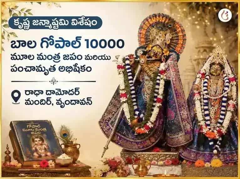 కృష్ణ జన్మాష్టమి ప్రత్యేక బాల గోపాల్ 10000 మూల మంత్ర జపం & పంచామృత అభిషేకం puja image 1