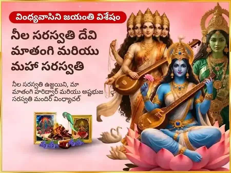 వింధ్యవాసిని జయంతి విశేష్ నీల సరస్వతి మాతంగి సంయుక్త మహా సరస్వతి విశేష్ దాన్ సేవ puja image 1