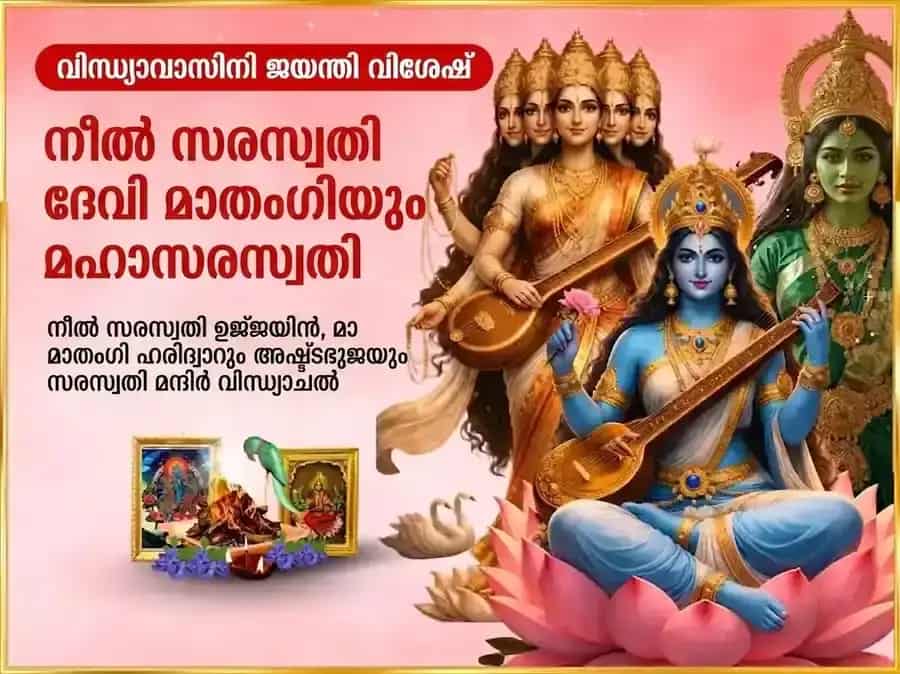 വിന്ധ്യാവാസിനി ജയന്തി വിശേഷ് നീല സരസ്വതി മാതംഗി സംയുക്ത് മഹാ സരസ്വതി വിശേഷ് ദാന സേവ puja image 1