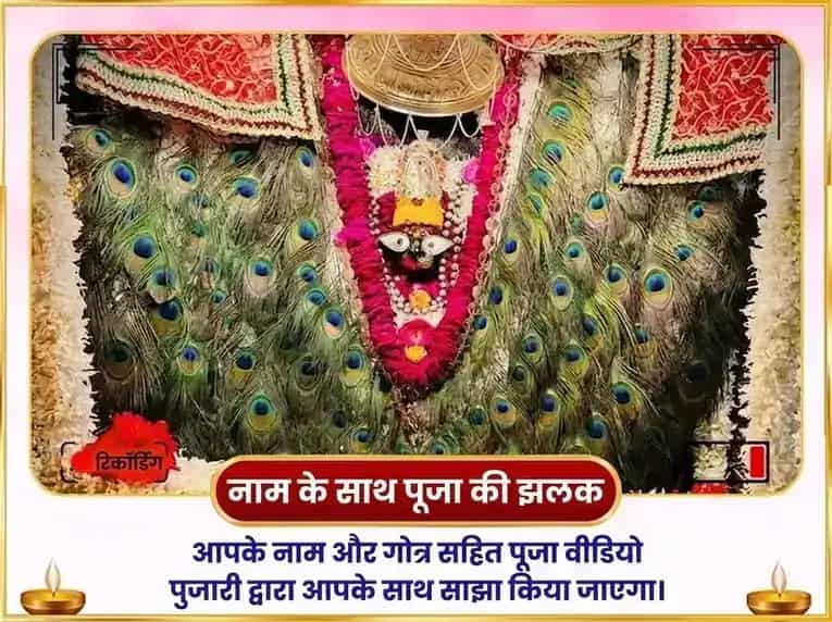 विंध्यवासिनी जयंती विशेष नील सरस्वती मातंगी संयुक्त महा सरस्वती विशेष दान सेवा puja gallery 2