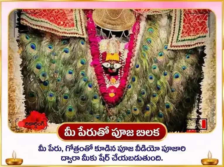 వింధ్యవాసిని జయంతి విశేష్ నీల సరస్వతి మాతంగి సంయుక్త మహా సరస్వతి విశేష్ దాన్ సేవ puja gallery 2
