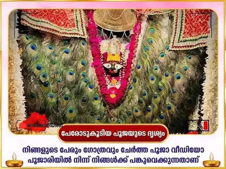 വിന്ധ്യാവാസിനി ജയന്തി വിശേഷ് നീല സരസ്വതി മാതംഗി സംയുക്ത് മഹാ സരസ്വതി വിശേഷ് ദാന സേവ puja gallery 2