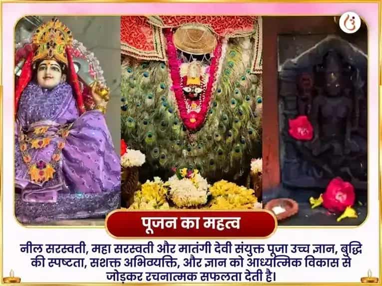 विंध्यवासिनी जयंती विशेष नील सरस्वती मातंगी संयुक्त महा सरस्वती विशेष दान सेवा puja gallery 3