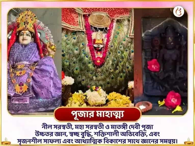 বিন্ধ্যবাসিনী জয়ন্তী বিশেষ নীল সরস্বতী মাতঙ্গী সংযুক্ত মহাসরস্বতী বিশেষ দান সেবা puja gallery 3