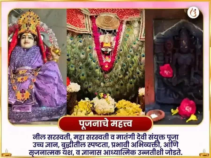 विंध्यवासिनी जयंती विशेष नील सरस्वती मातंगी संयुक्त महा सरस्वती विशेष दान सेवा puja gallery 3