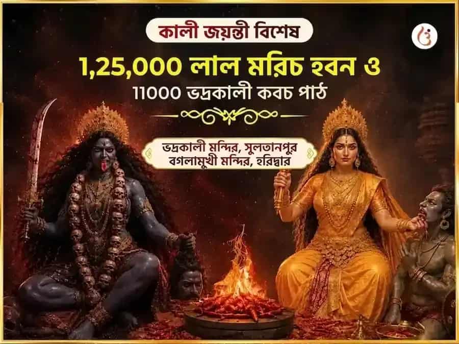 কালী জয়ন্তী বিশেষ মা বগলামুখী 125000 লাল মির্চ हवन এবং 11000 ভদ্রকালী কবচ পাঠ puja image 1