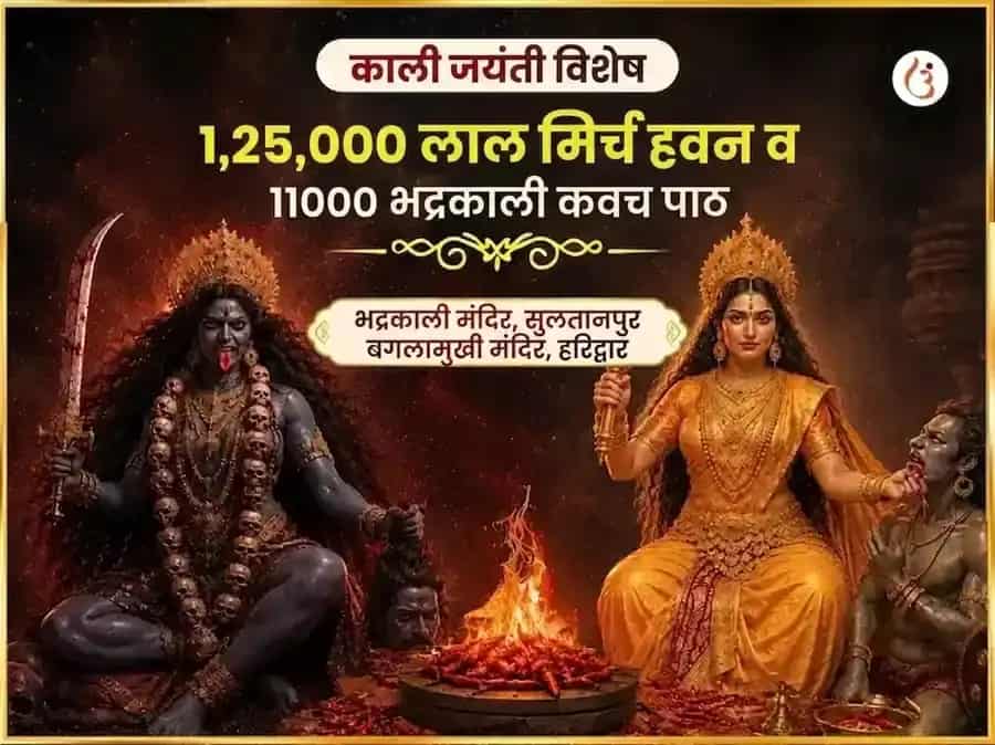 काली जयंती विशेष माँ बगलामुखी 125000 लाल मिर्च हवन आणि 11000 भद्रकाली कवच पाठ puja image 1