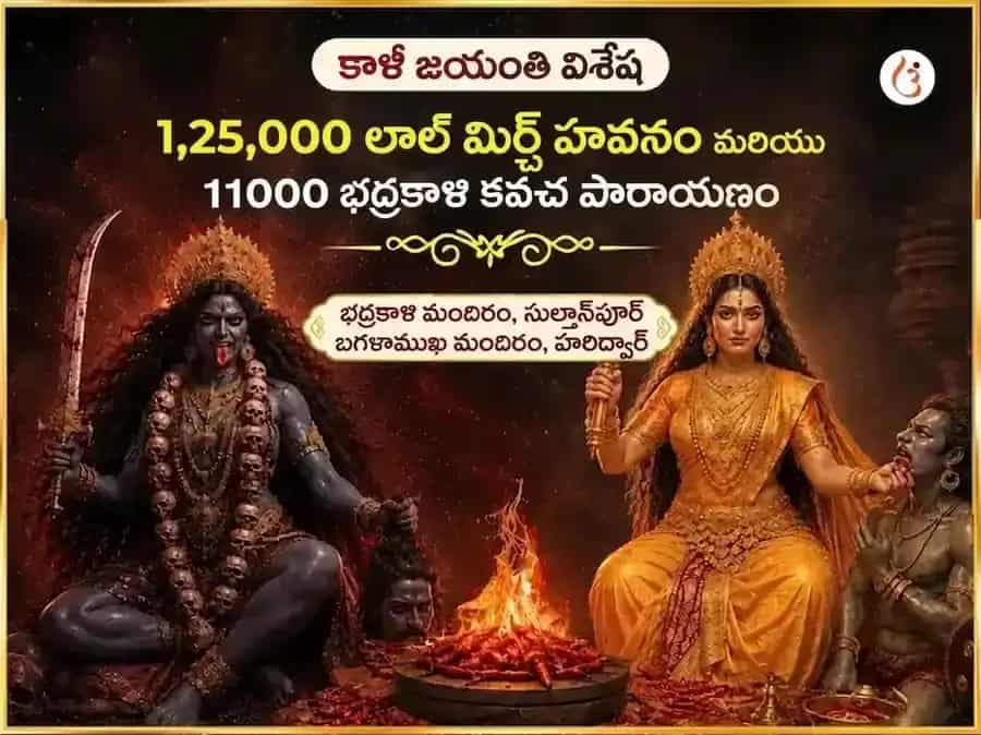 కాళీ జయంతి విశేష్ మా బగళాముఖి 125000 లాల్ మిర్చ్ హవనం & 11000 భద్రకాళి కవచ పారాయణం puja image 1