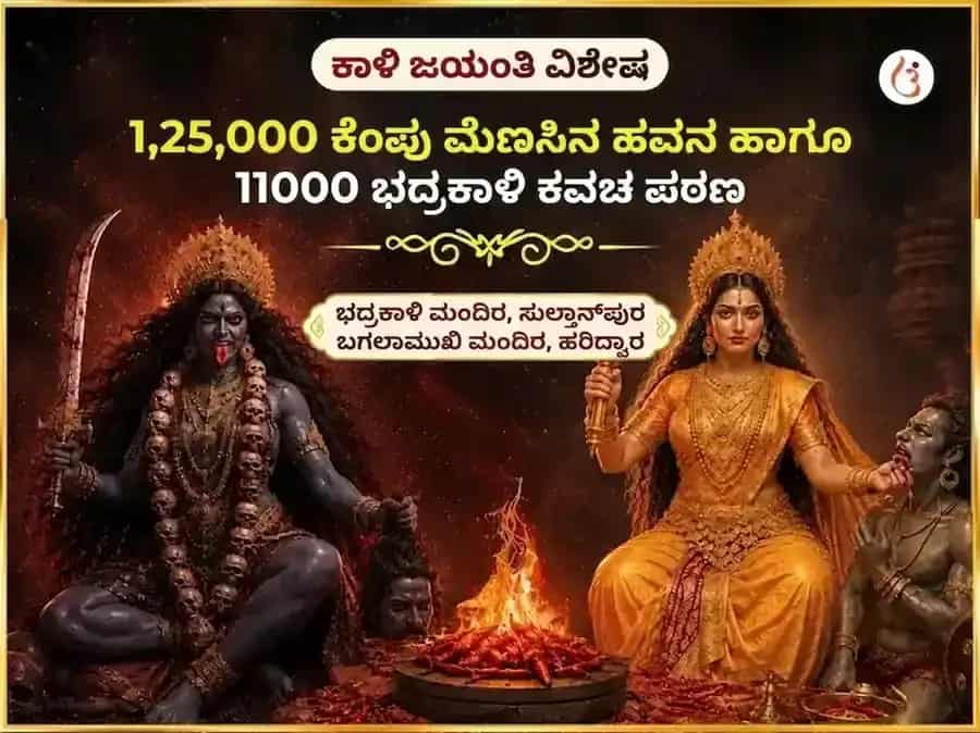 ಕಾಳಿ ಜಯಂತಿ ವಿಶೇಷ ಮಾ ಬಗಲಾಮುಖಿ 125000 ಲಾಲ್ ಮಿರ್ಚ್ ಹವನ ಮತ್ತು 11000 ಭದ್ರಕಾಳಿ ಕವಚ ಪಠಣ puja image 1