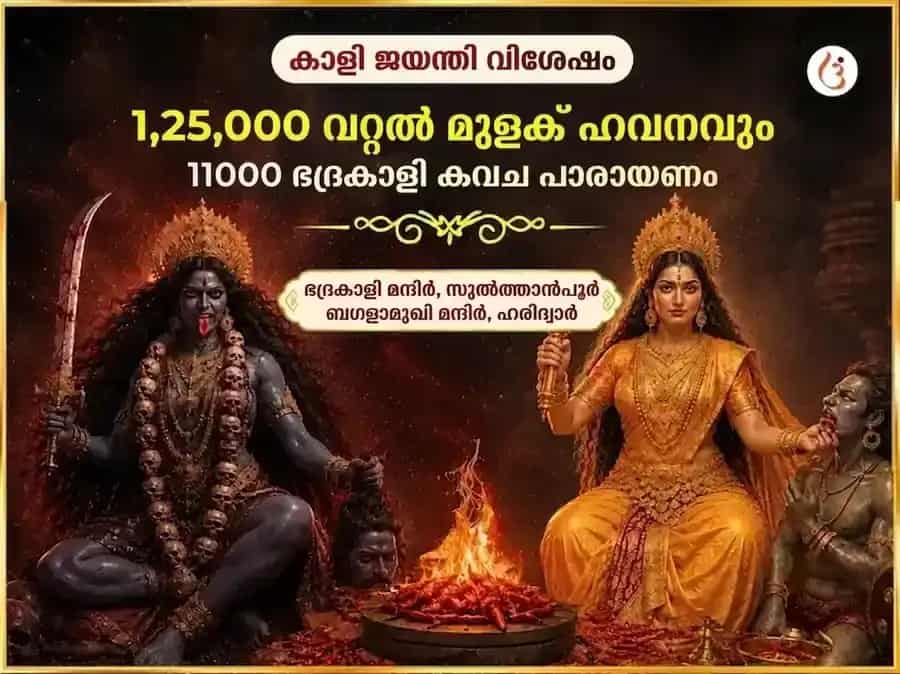 കാളി ജയന്തി വിശേഷ് മാ ബഗളാമുഖി 125000 ലാൽ മിർച്ച് ഹവൻ & 11000 ഭദ്രകാളി കവച പാഠം puja image 1