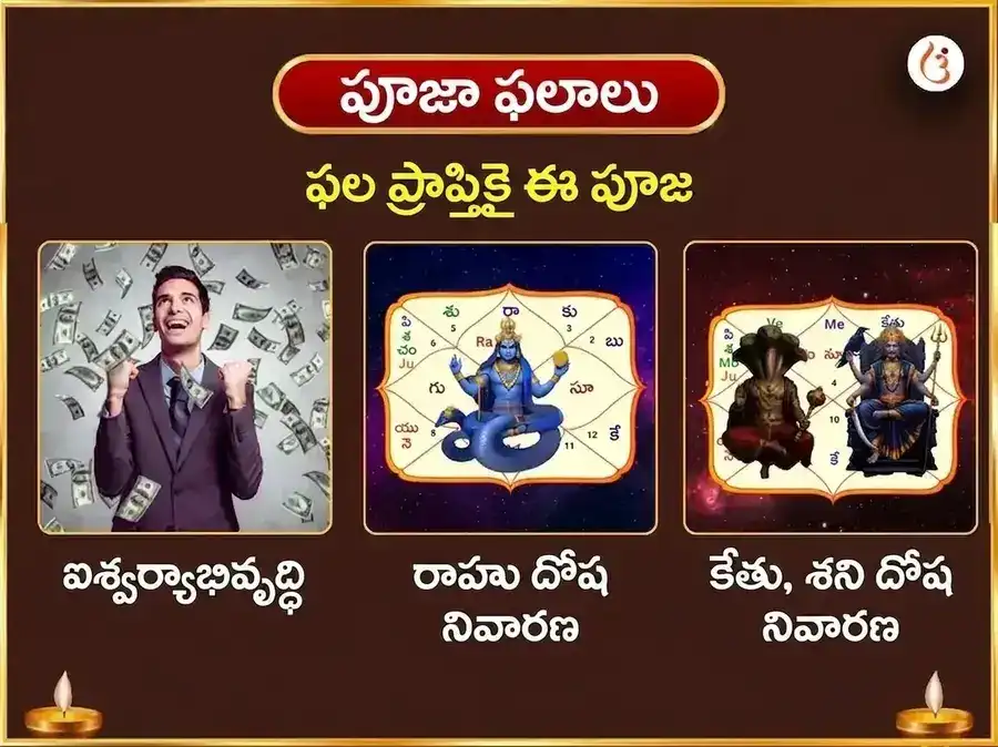 కాళీ జయంతి విశేష్ మా బగళాముఖి 125000 లాల్ మిర్చ్ హవనం & 11000 భద్రకాళి కవచ పారాయణం puja gallery 1