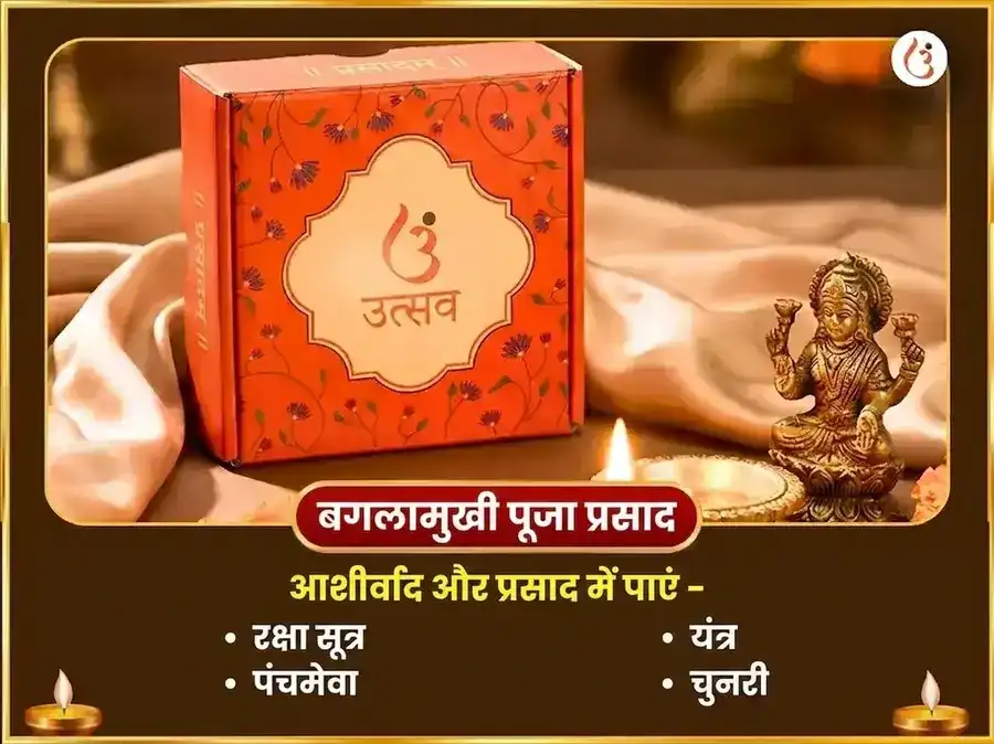 काली जयंती विशेष माँ बगलामुखी 125000 लाल मिर्च हवन और 11000 भद्रकाली कवच पाठ puja gallery 3